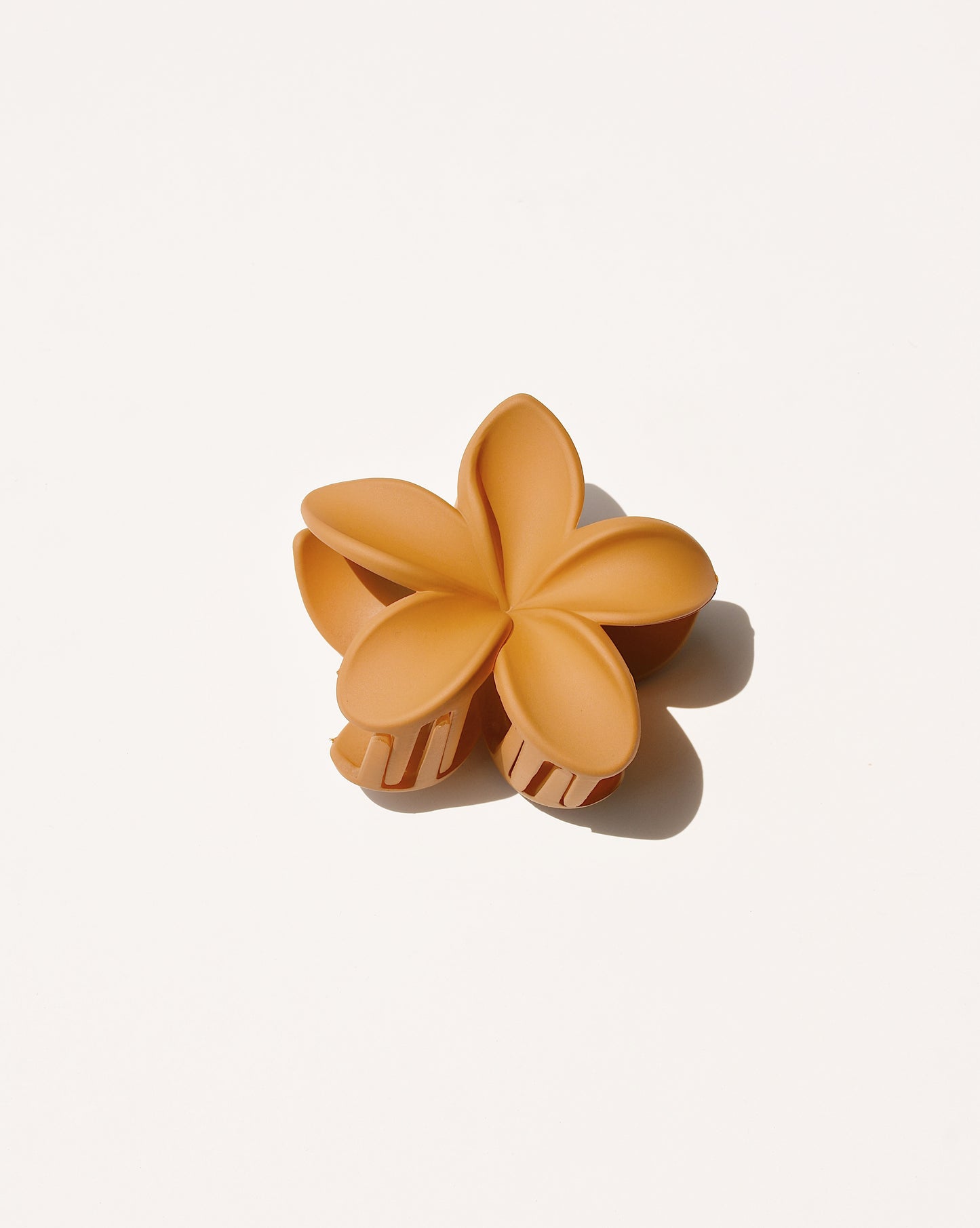 Clip de griffe de fleur de Plumeria dans des couleurs neutres