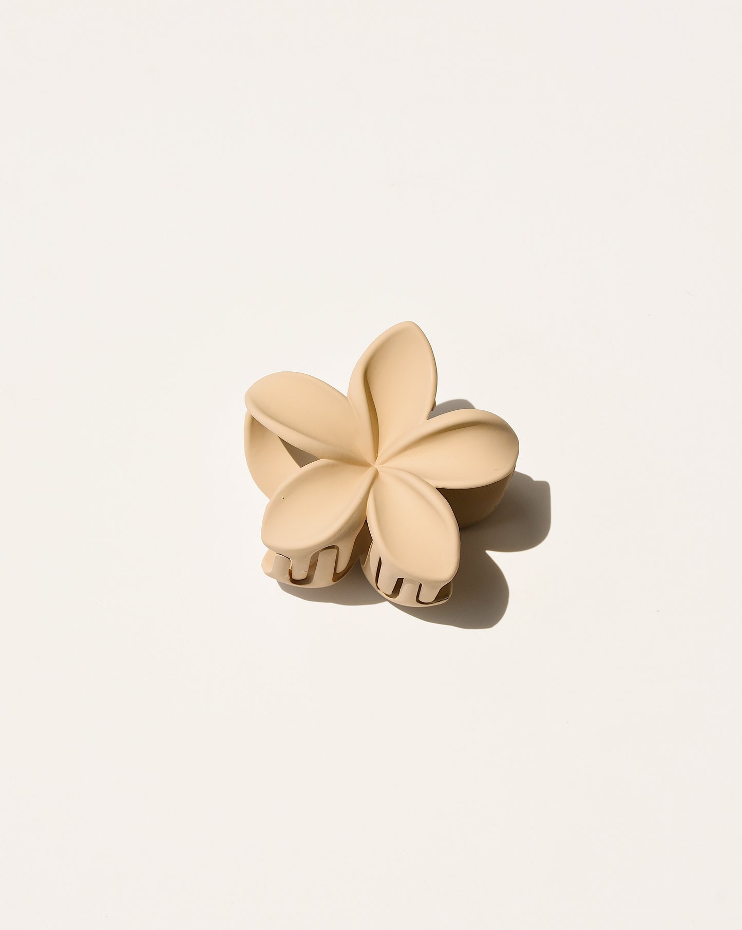 Clip de griffe de fleur de Plumeria dans des couleurs neutres