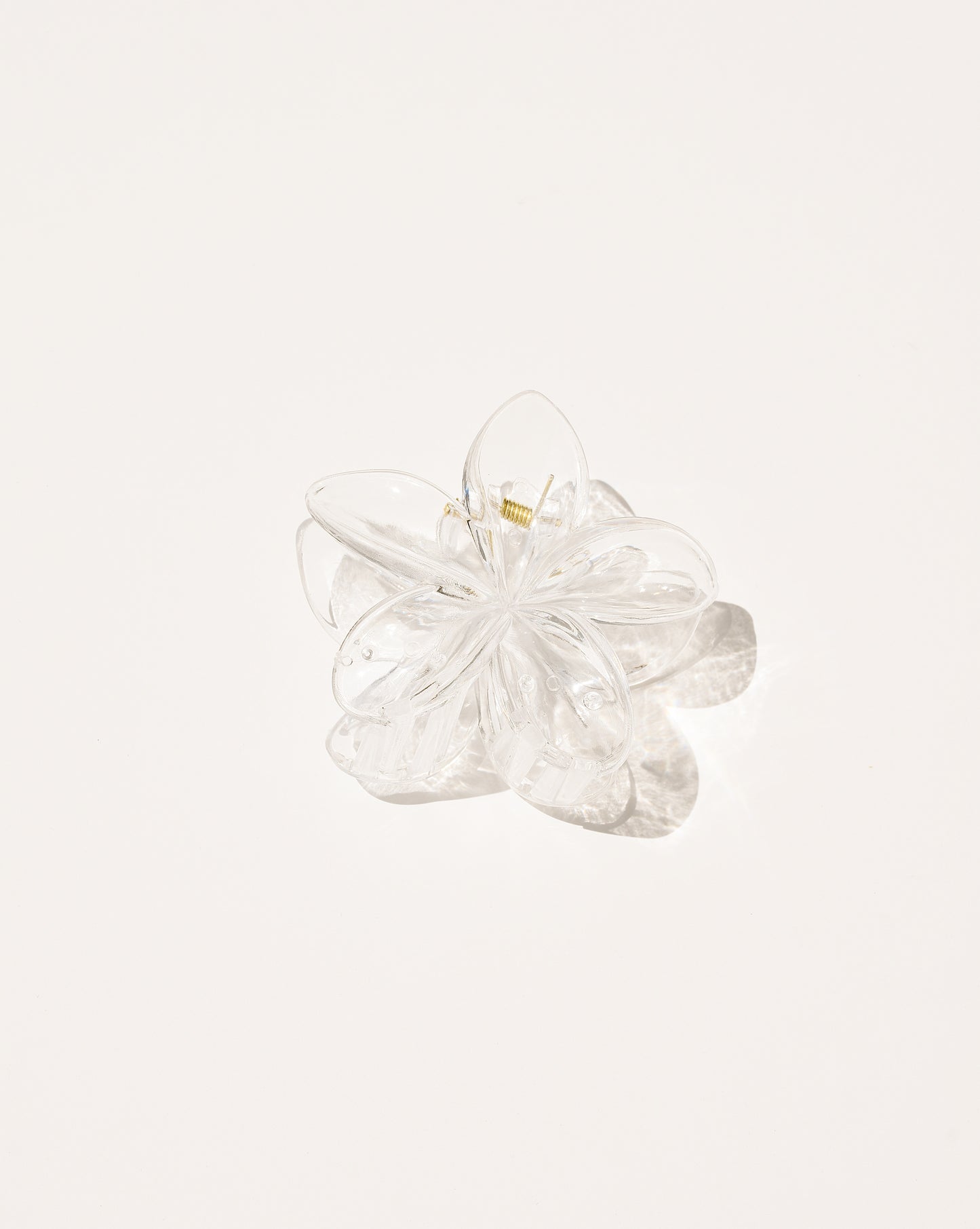 Clip de griffe de fleur de Plumeria dans des couleurs neutres