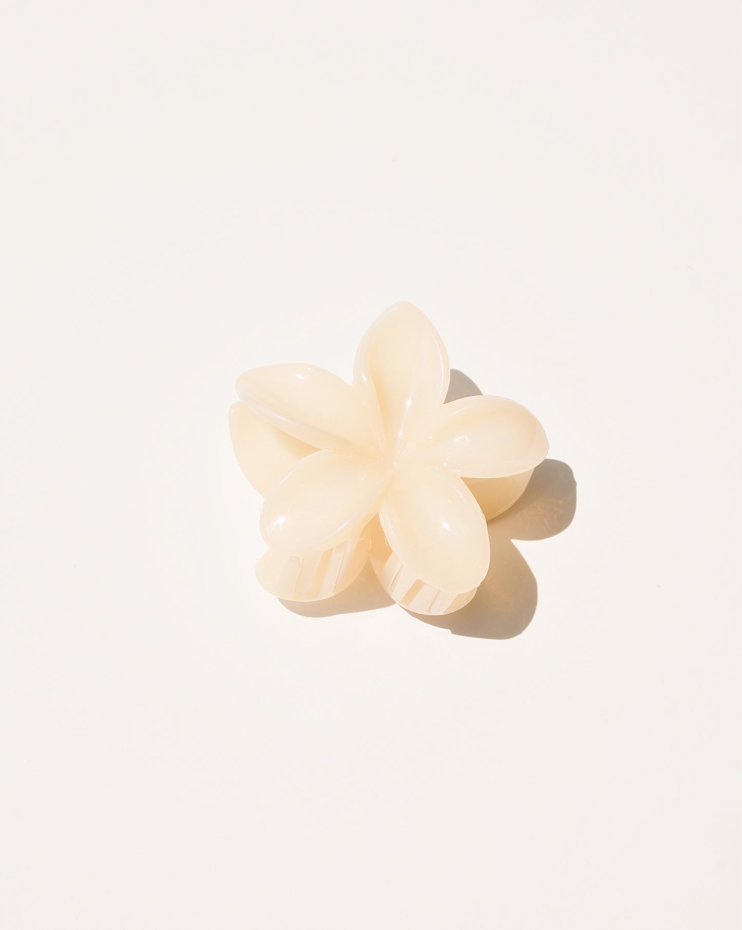 Clip de griffe de fleur de Plumeria dans des couleurs neutres