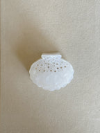 Seashell Clip with Tiny Crystals