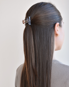 Petite Claw Clip No. 1