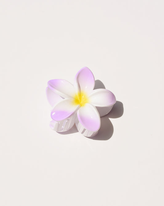 Plumeria-Blumenklammer in Blau