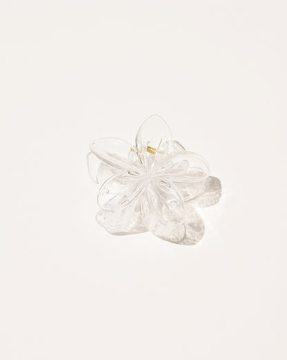 Clip de griffe de fleur de Plumeria dans des couleurs neutres
