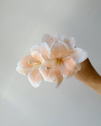Orange Lilium Flower Hair Claw Clip