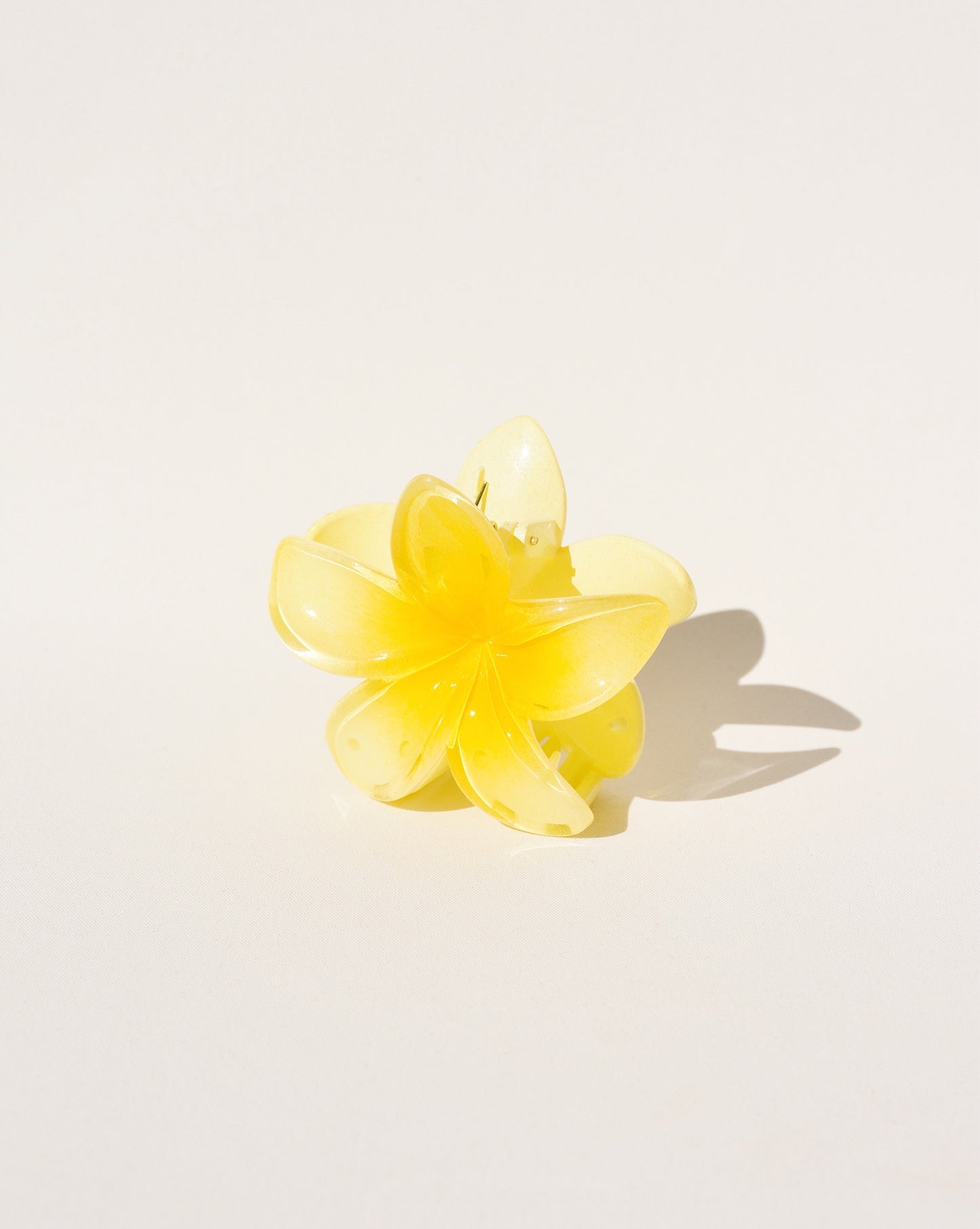 Pince à griffes de fleur de Plumeria en jaune