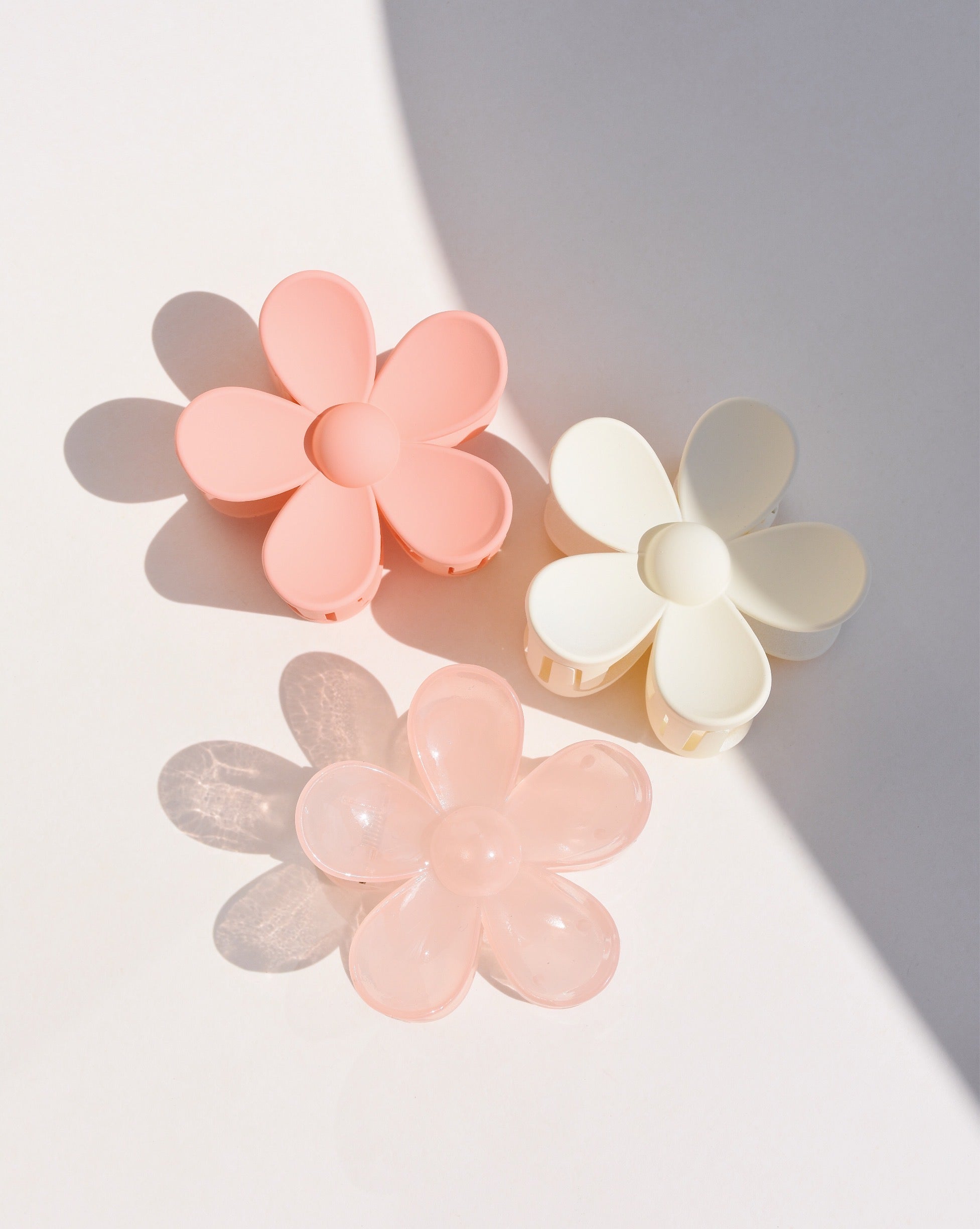 Clip de flor de margarita en color albaricoque