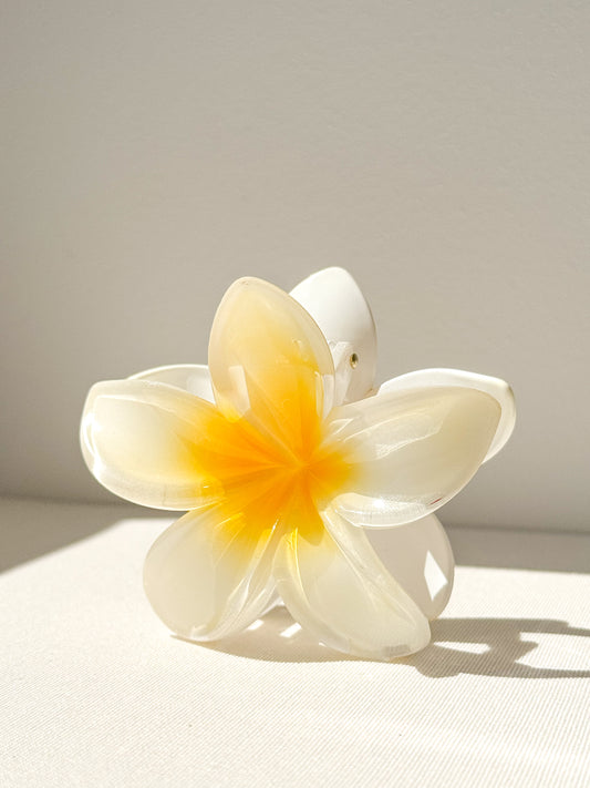 Hibiskusblüten-Krallenclip aus Kokosnuss