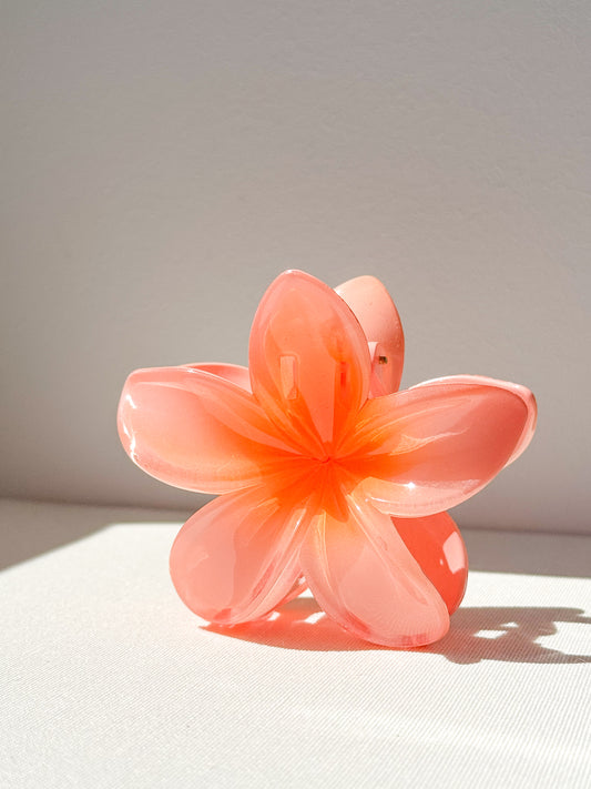 Hibiskusblüten-Krallenclip aus Kokosnuss