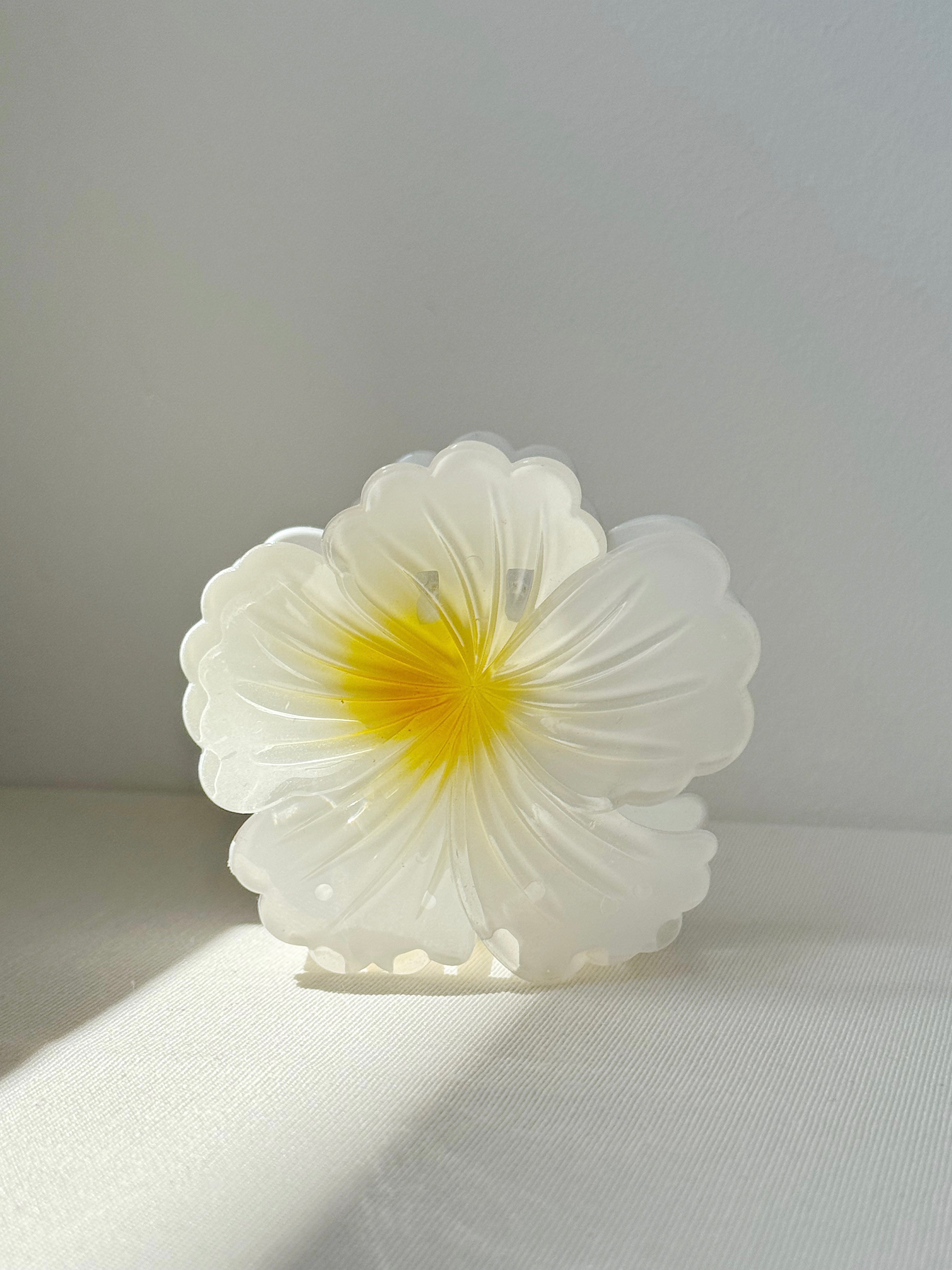 Flor tropical en coco 