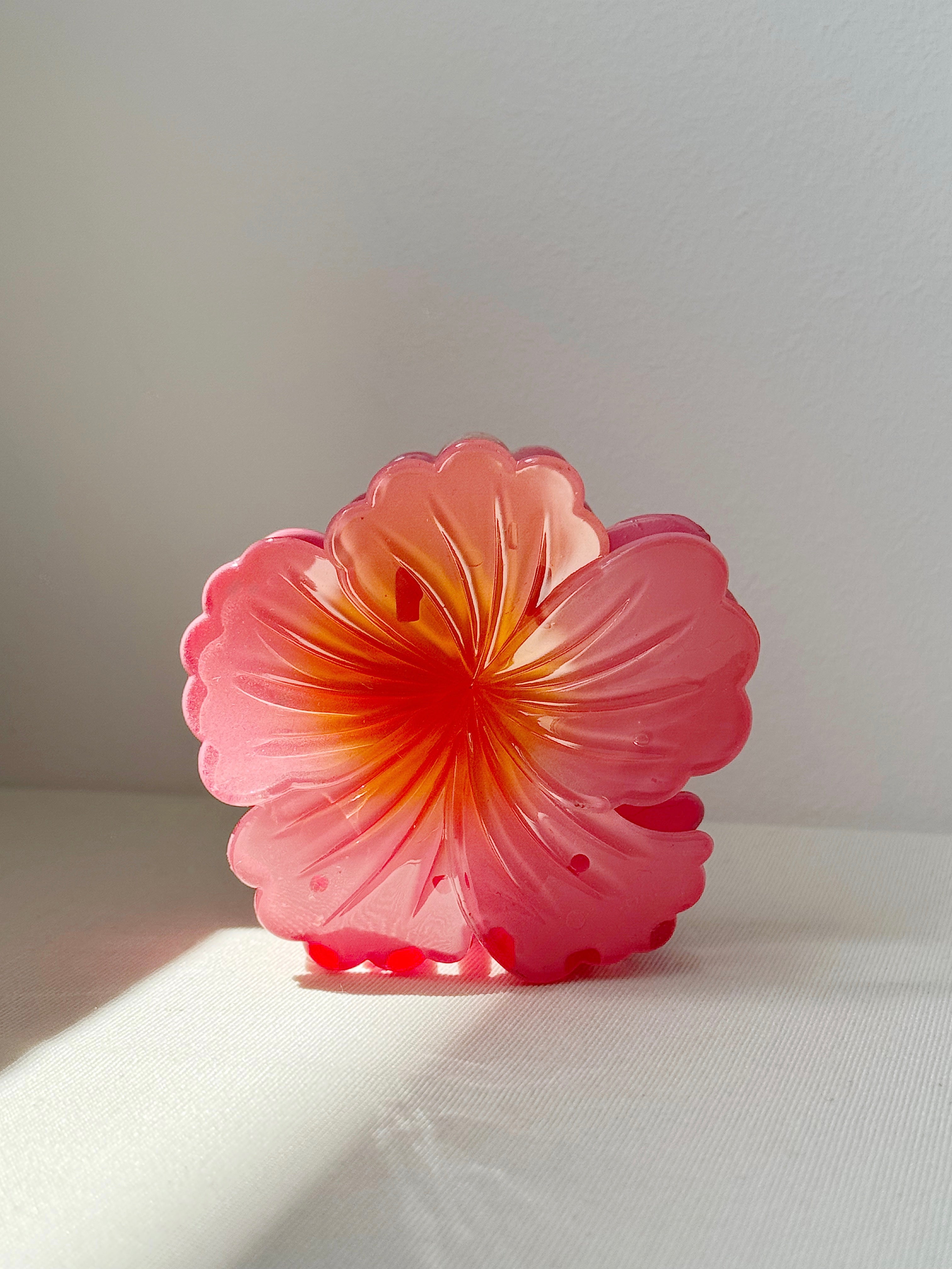 Flor tropical de hibisco 